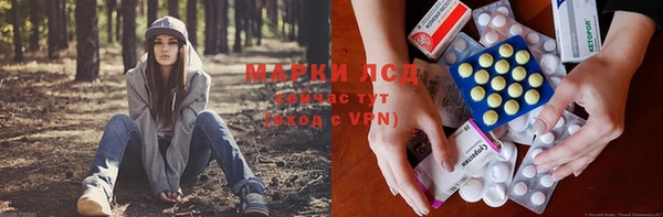 стафф Зерноград