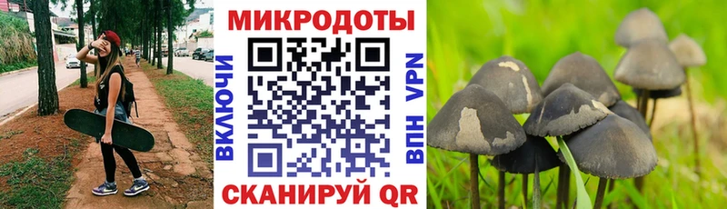 Галлюциногенные грибы мицелий  даркнет сайт  Советск 
