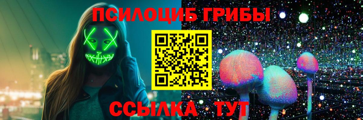 Советск  Галлюциногенные грибы Cubensis  Вход с VPN 